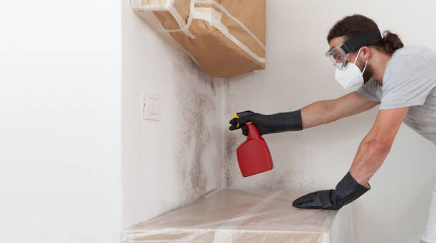 Professional Crawl Space Mold Removal technician working in Kent City, MI