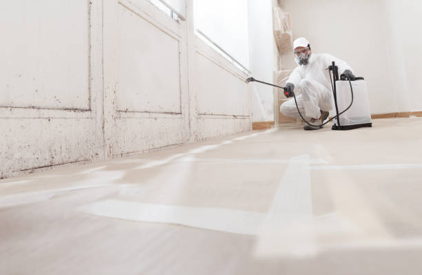 24/7 Emergency Crawl Space Mold Removal experts in Kent City, MI