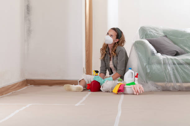Reliable Crawl Space Mold Removal contractor in Kent City, MI by WQB Mold Removal